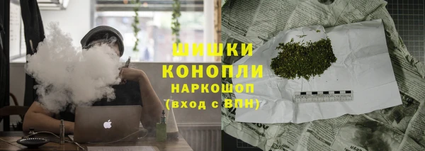 амф Касимов