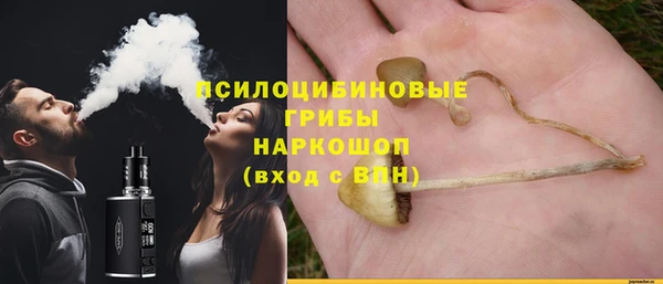 PSILOCYBIN Карталы