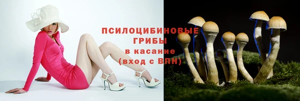 амф Касимов