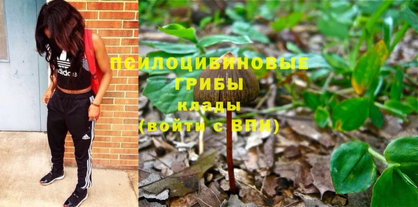 амф Касимов