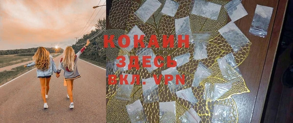 PSILOCYBIN Карталы