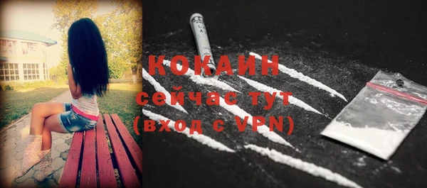 PSILOCYBIN Карталы