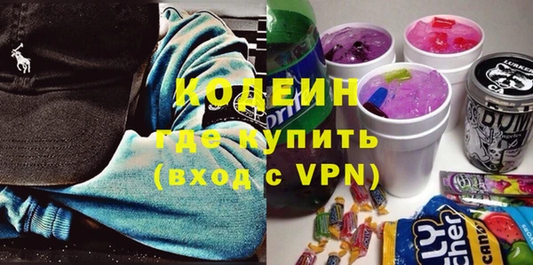 PSILOCYBIN Карталы