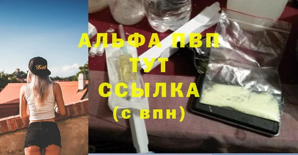 PSILOCYBIN Карталы